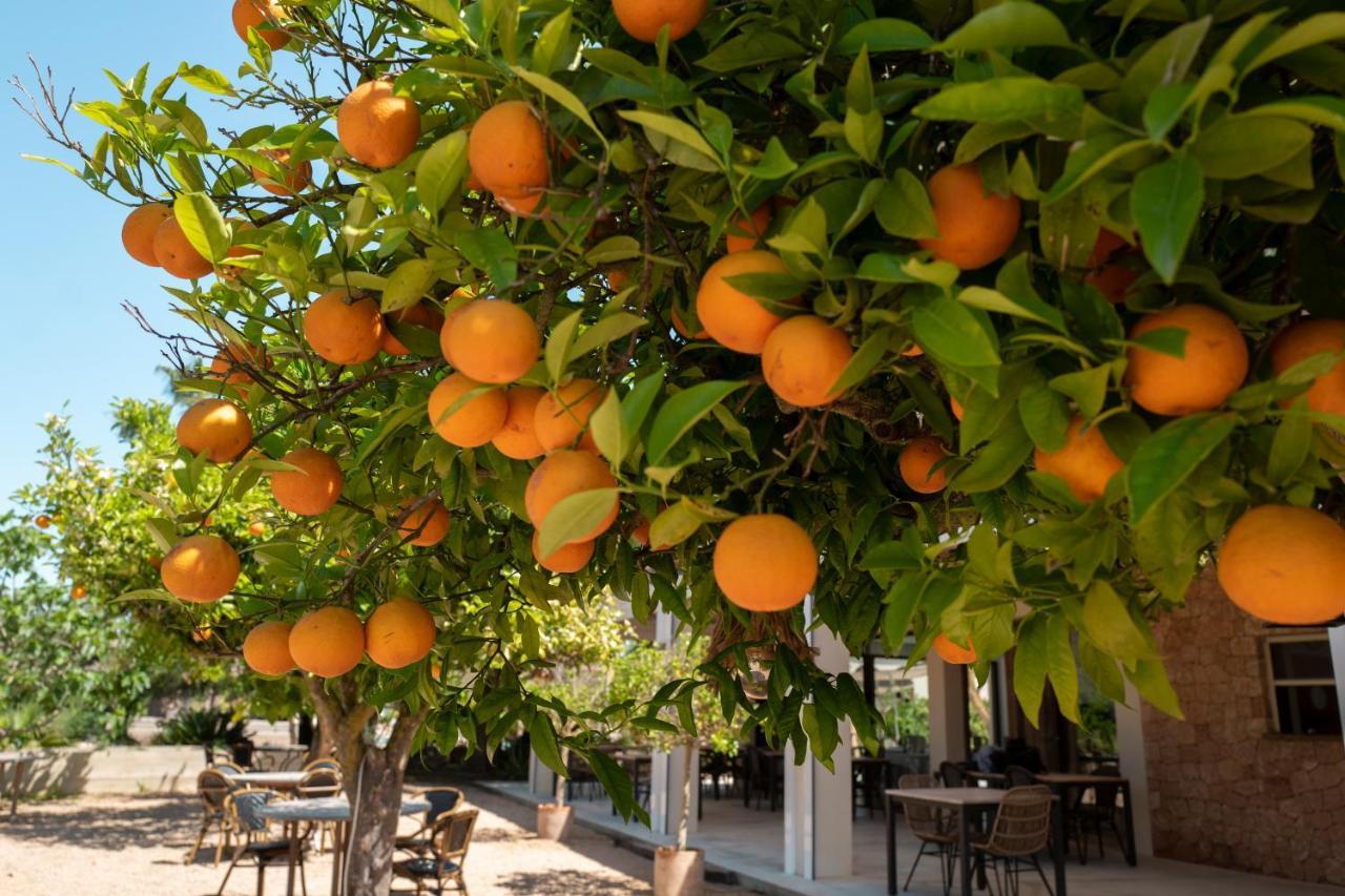 Can Arabi - Adults Only Puig D'en Valls ภายนอก รูปภาพ