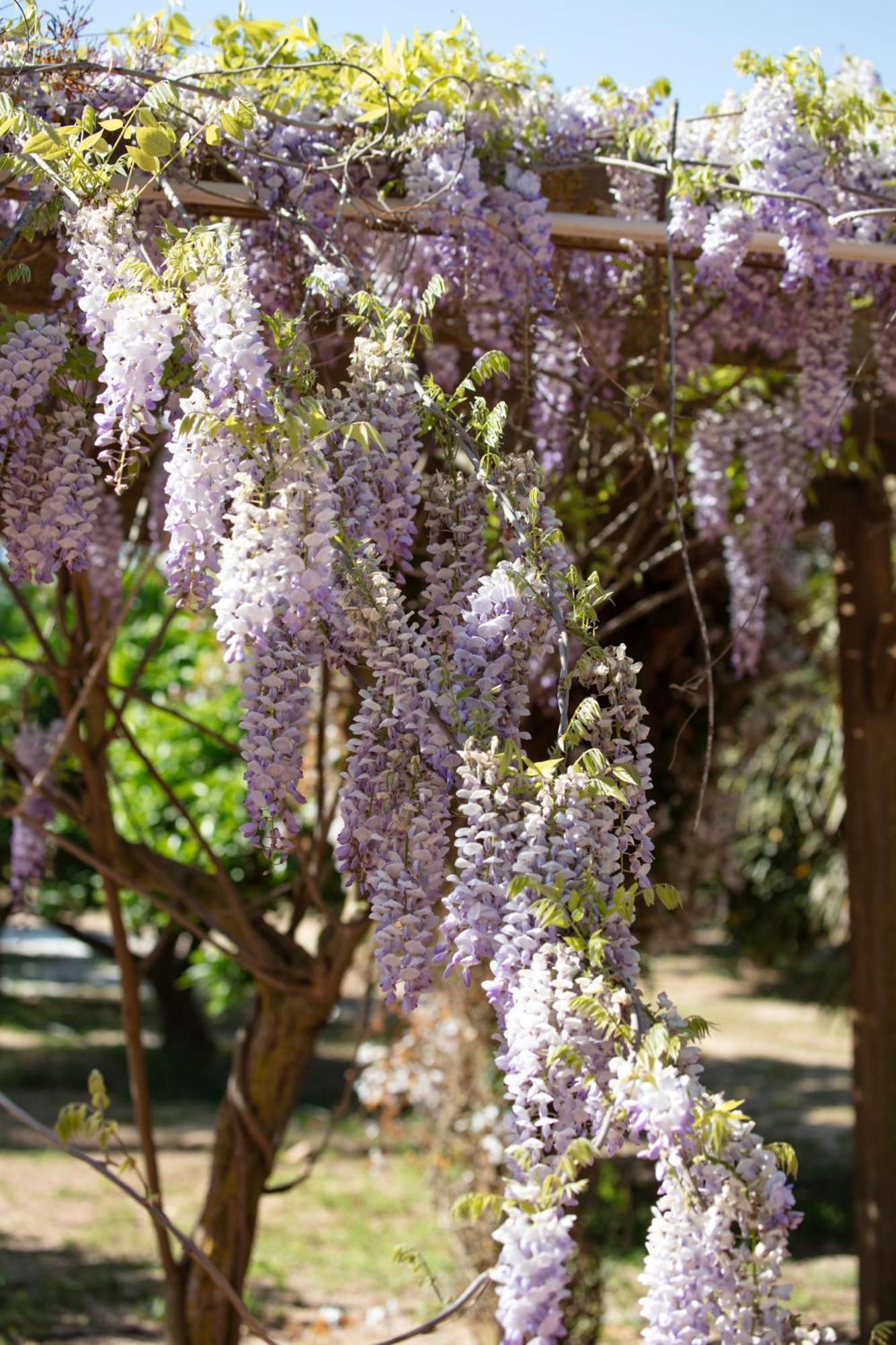 Can Arabi - Adults Only Puig D'en Valls ภายนอก รูปภาพ